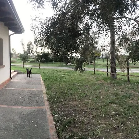 Appart hôtel Le Tamerici 3*